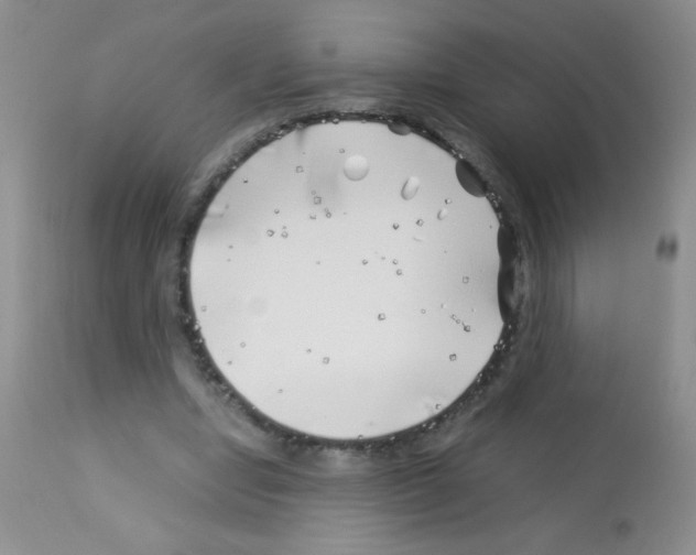 X0000113090442200910091301