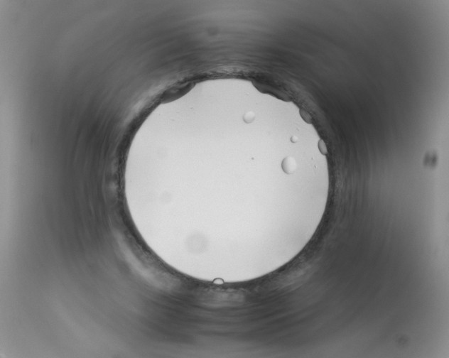 X0000113090443200910091301