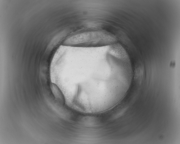 X0000113090444200910091301