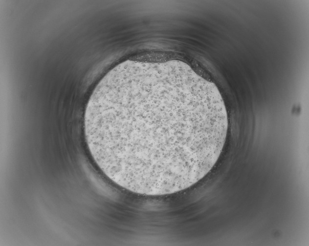 X0000113090445200910091301