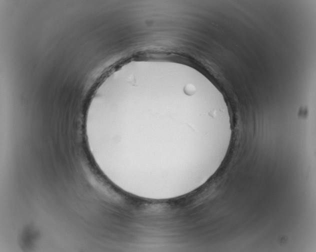 X0000113090446200910091301