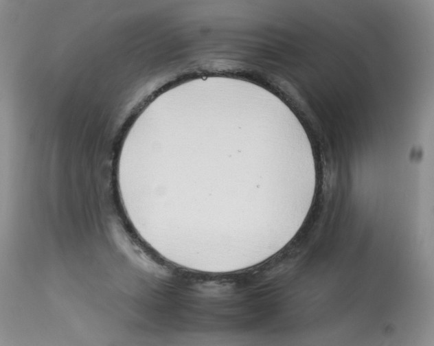 X0000113090447200910091301