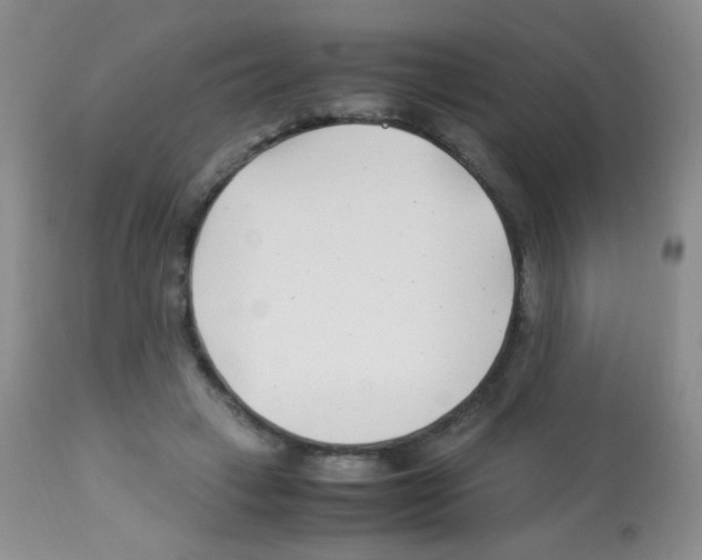 X0000113090449200910091301
