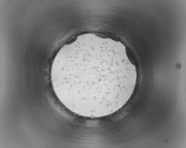 X0000113090450200910091301