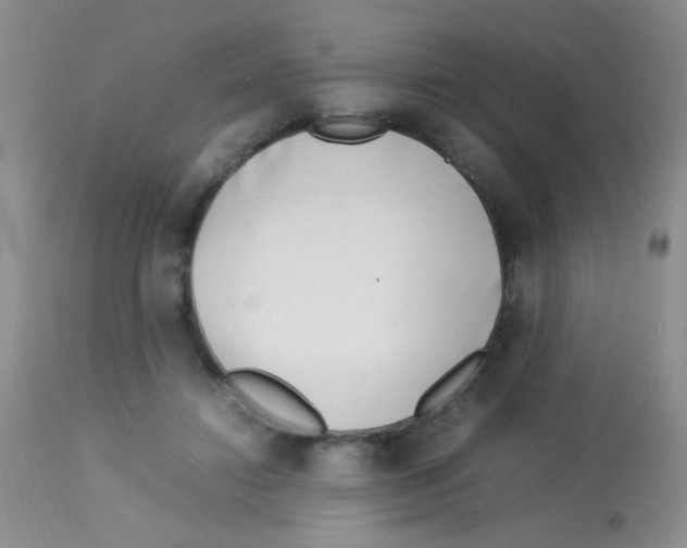 X0000113090452200910091301