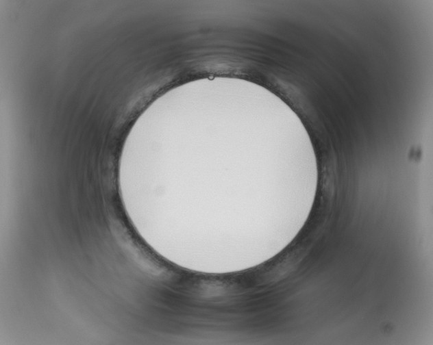 X0000113090453200910091301