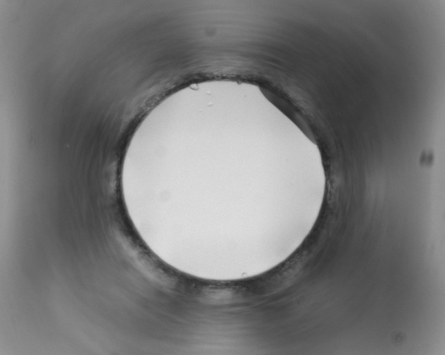 X0000113090454200910091301
