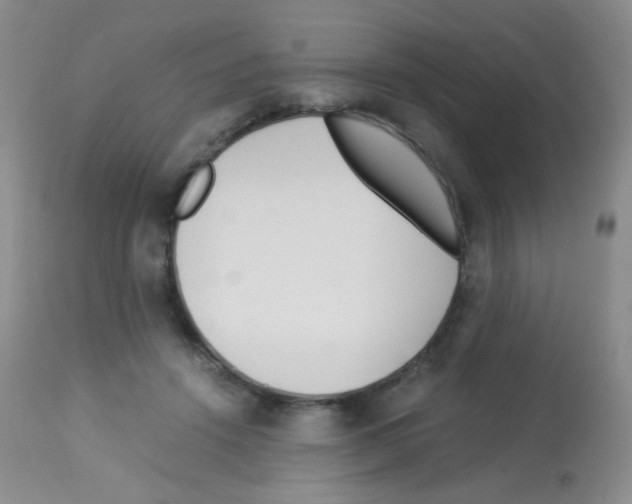 X0000113090456200910091301