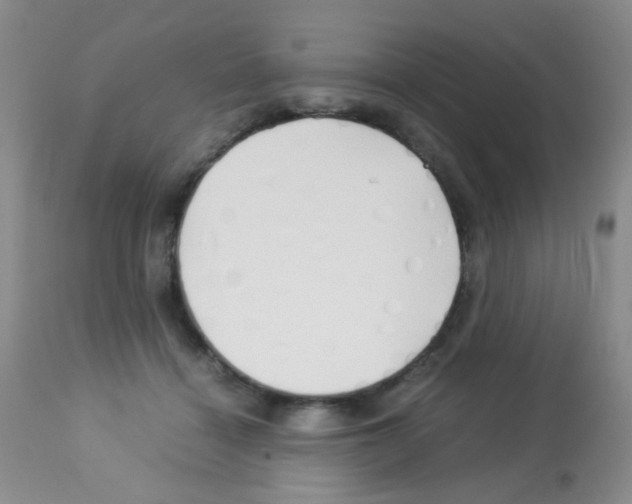 X0000113090460200910091301