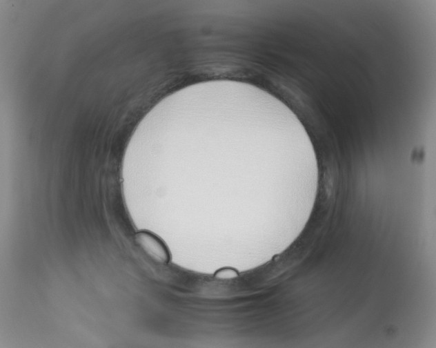 X0000113090461200910091301
