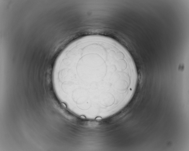 X0000113090462200910091301