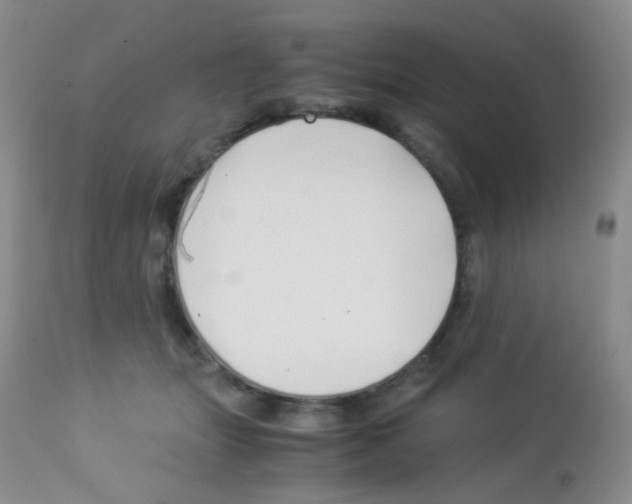 X0000113090463200910091301