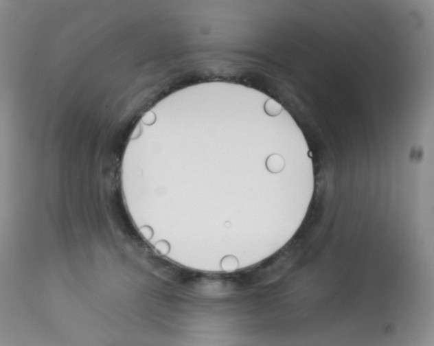 X0000113090464200910091301
