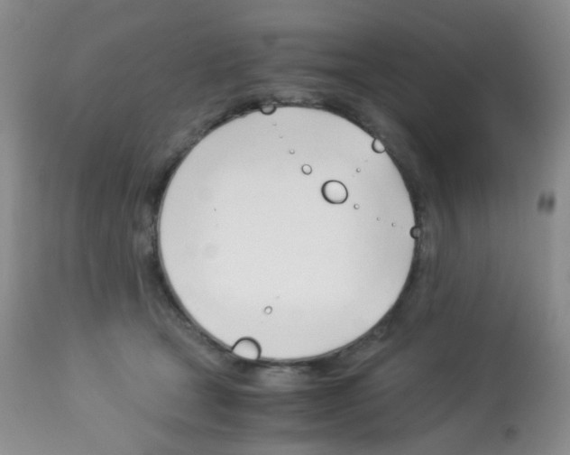 X0000113090465200910091301