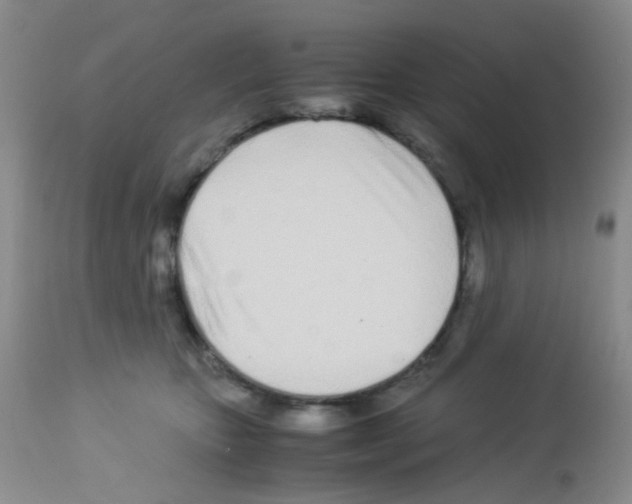 X0000113090467200910091301