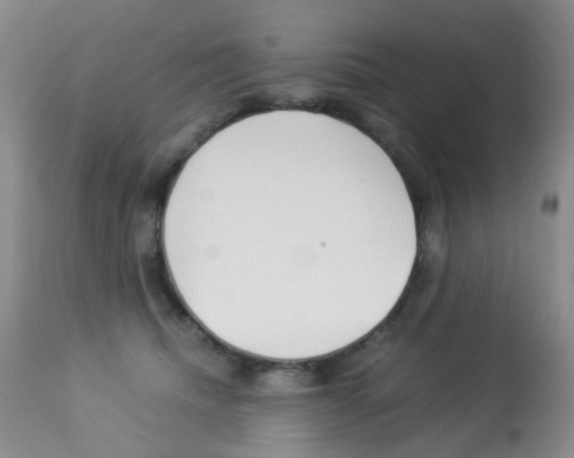 X0000113090468200910091301