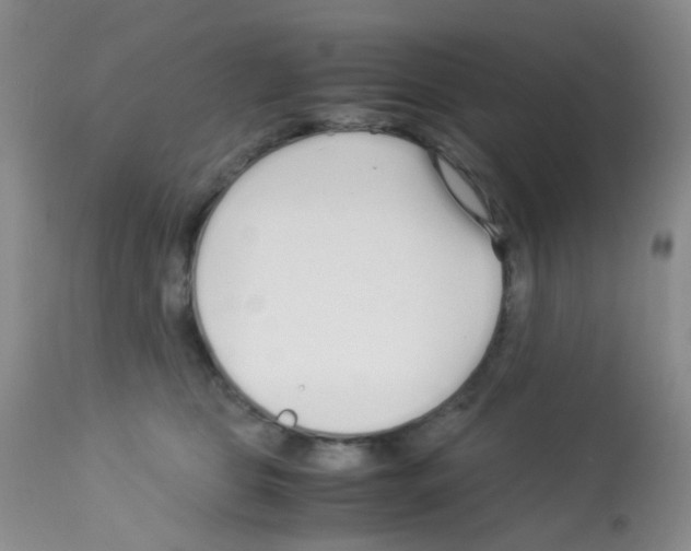 X0000113090469200910091301