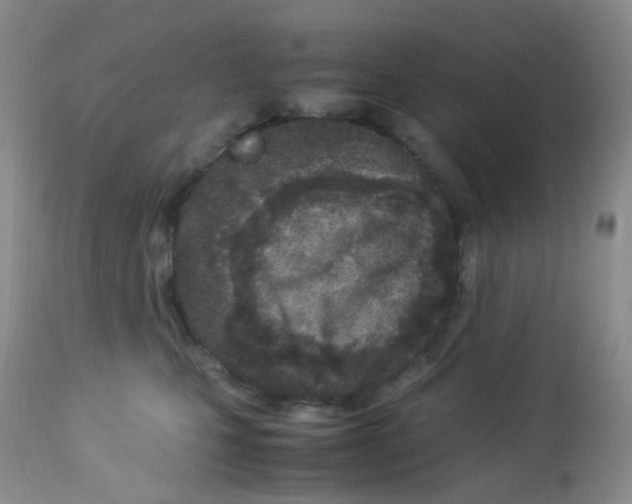 X0000113090471200910091302