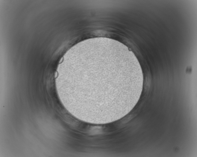 X0000113090473200910091302