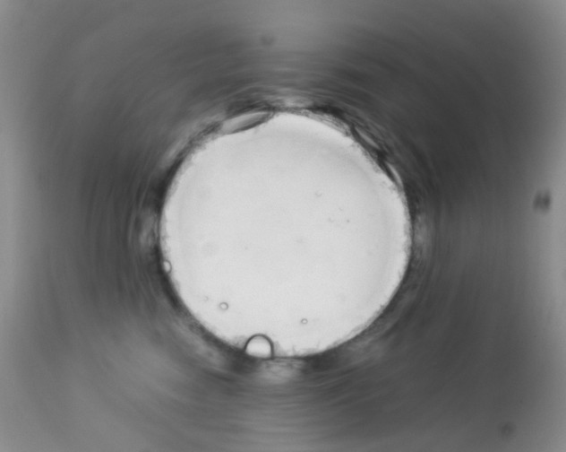 X0000113090474200910091302