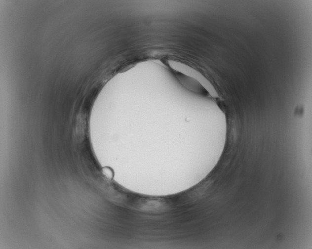 X0000113090475200910091302