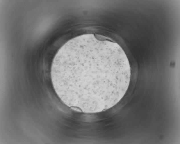 X0000113090477200910091302