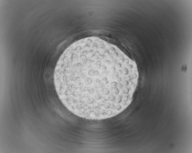 X0000113090478200910091302