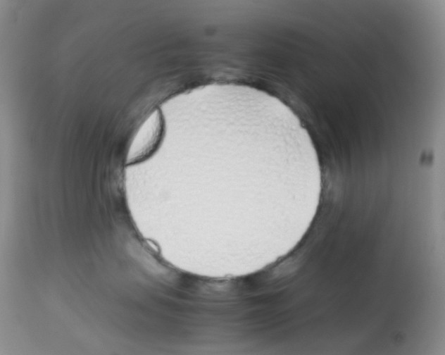 X0000113090479200910091302