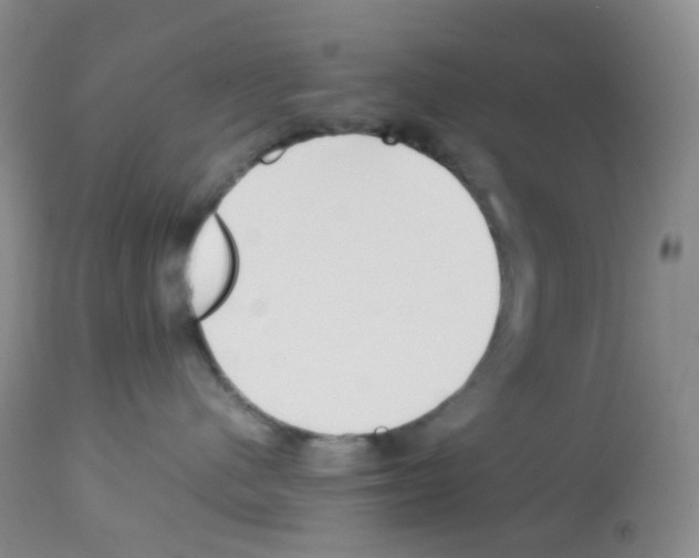 X0000113090480200910091302