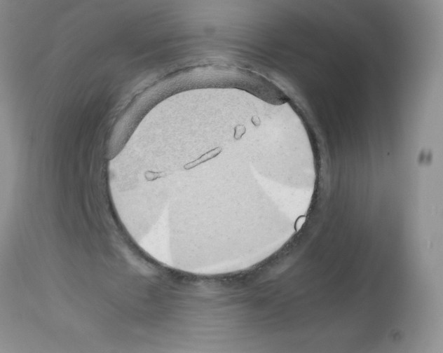X0000113090481200910091301