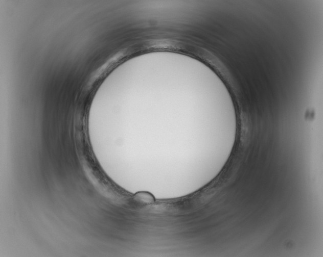 X0000113090482200910091301