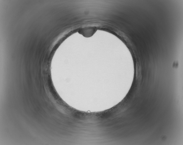 X0000113090483200910091301