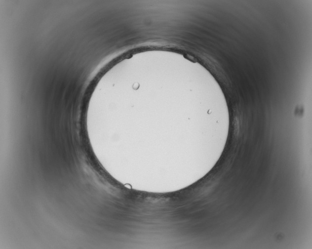 X0000113090484200910091301