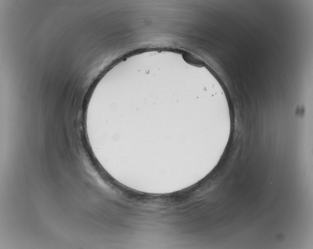 X0000113090485200910091301