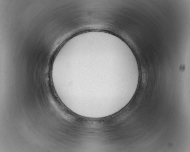 X0000113090486200910091301