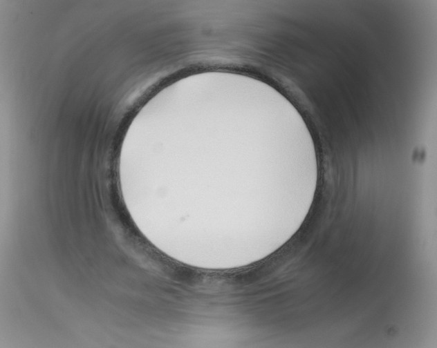 X0000113090487200910091301