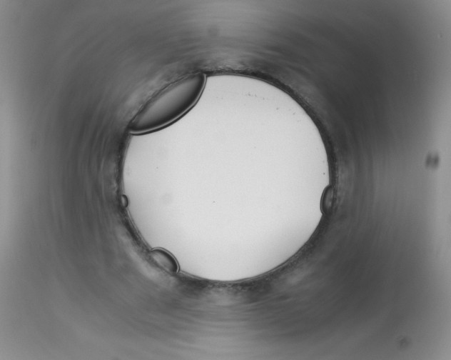 X0000113090489200910091301