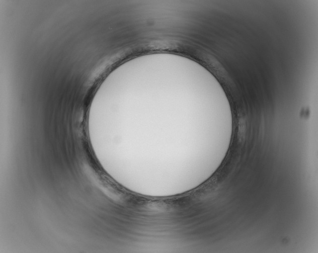 X0000113090490200910091301