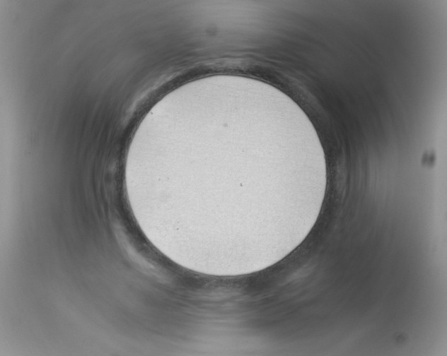 X0000113090491200910091301