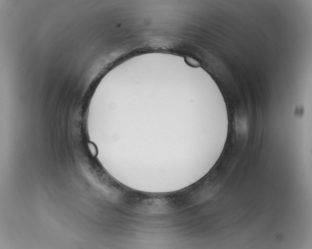 X0000113090492200910091301