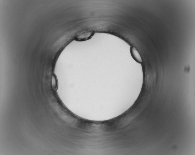 X0000113090493200910091301