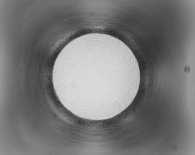 X0000113090495200910091301