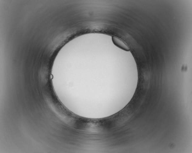 X0000113090496200910091301