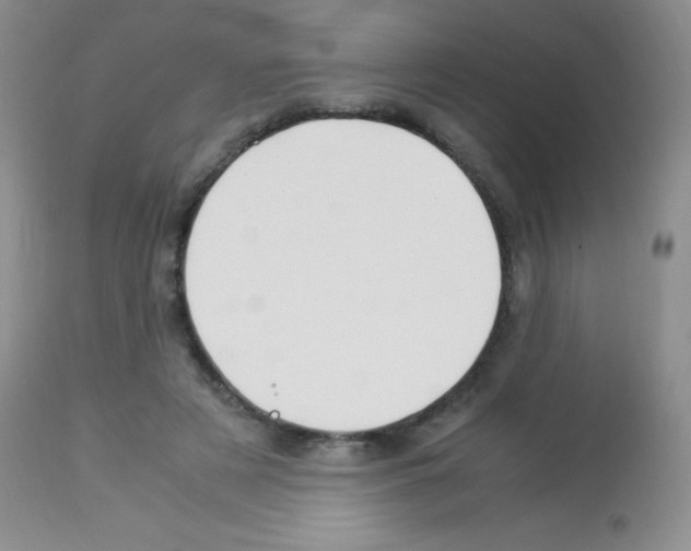 X0000113090497200910091301