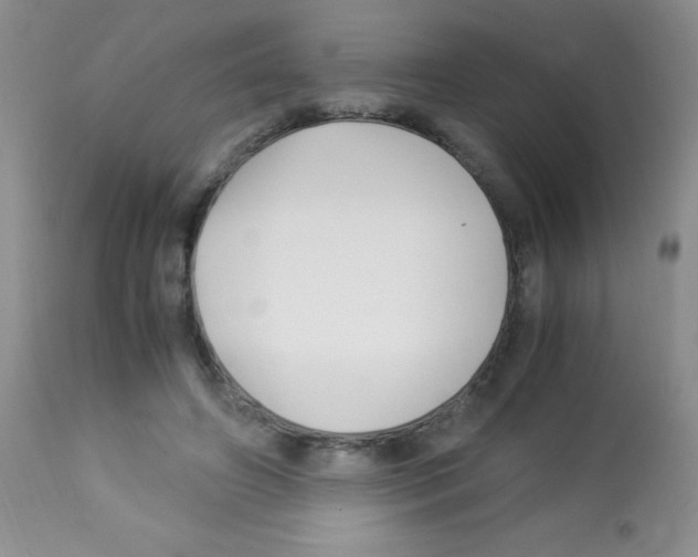 X0000113090498200910091301