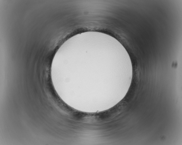 X0000113090499200910091301