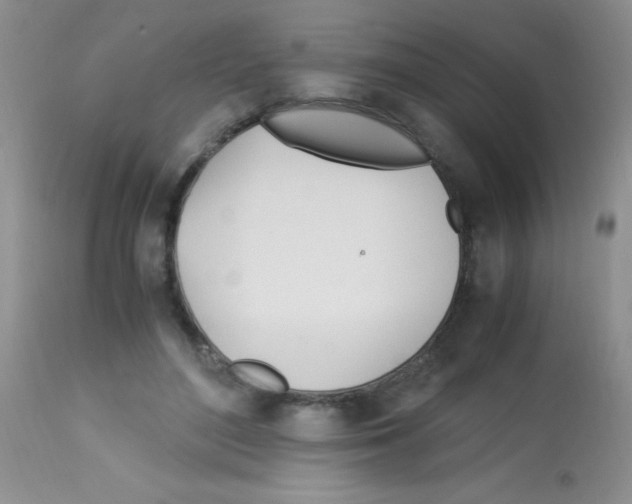 X0000113090500200910091301
