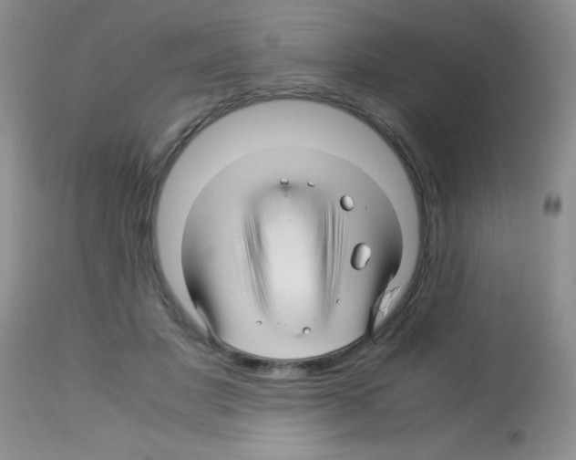 X0000113090501200910091301