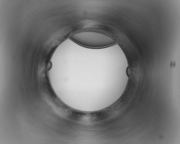 X0000113090504200910091301