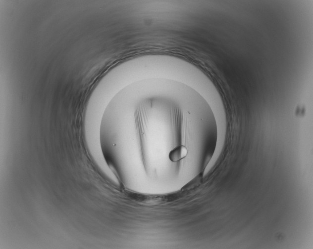 X0000113090505200910091301